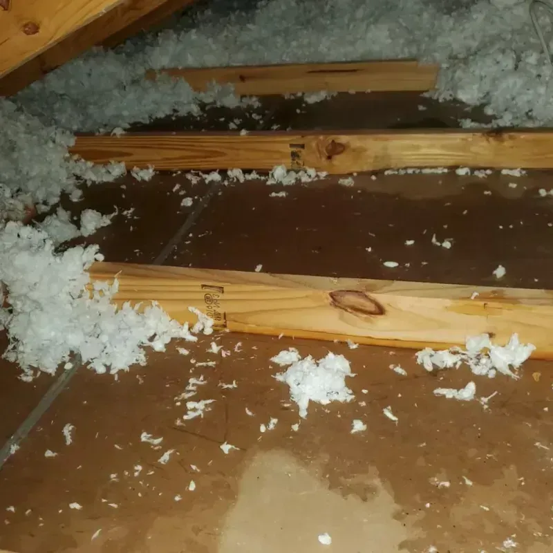 Attic Water Damage in Poulsbo, WA