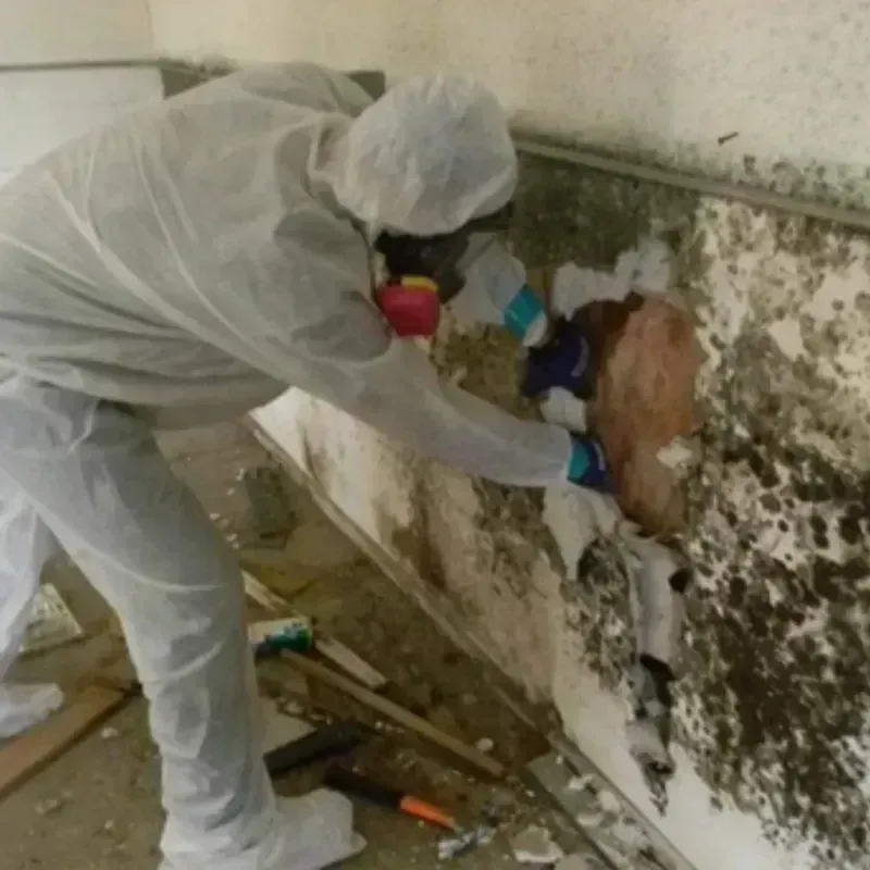 Mold Remediation and Removal in Poulsbo, WA