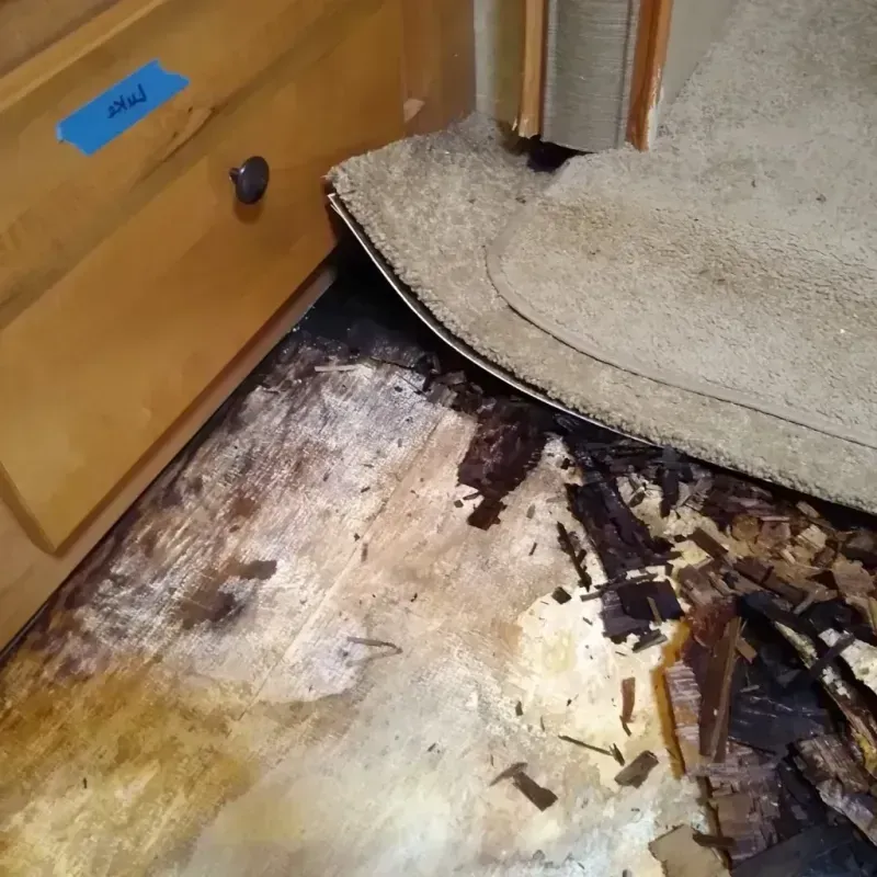 Wood Floor Water Damage in Poulsbo, WA